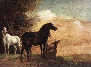 POTTER, Paulus Horses in a Field zg oil painting